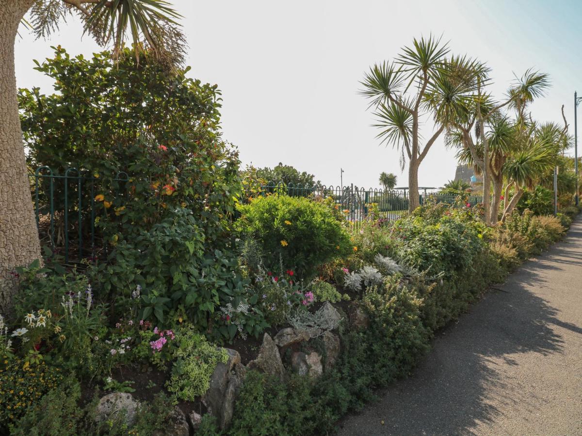Samphire Daire Teignmouth Dış mekan fotoğraf